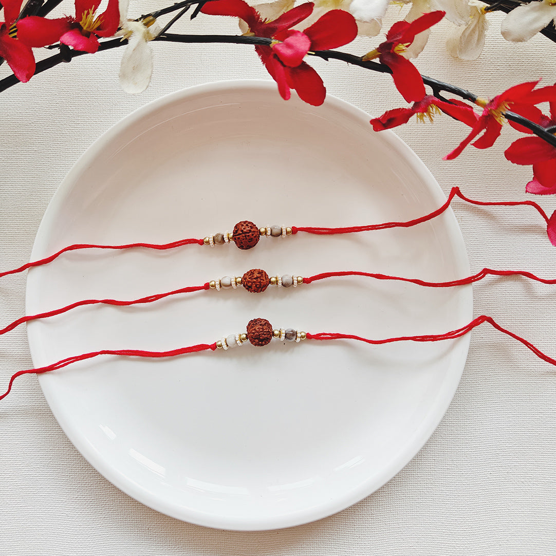 Bhai Rakhi - 004