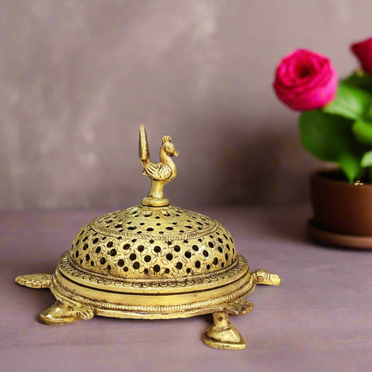 Tortoise Peacock Dhoop dani